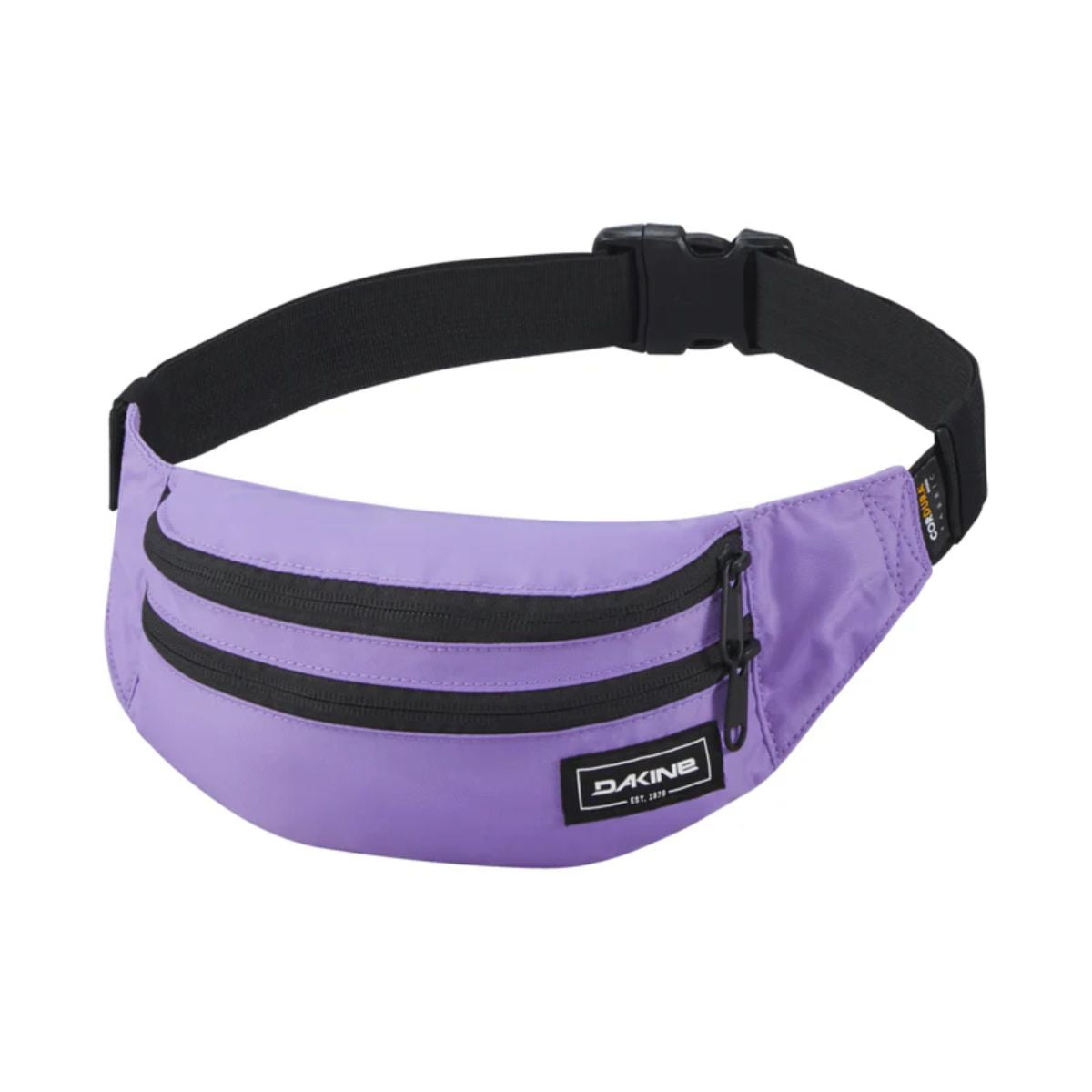 Dakine Classic Hip Pack