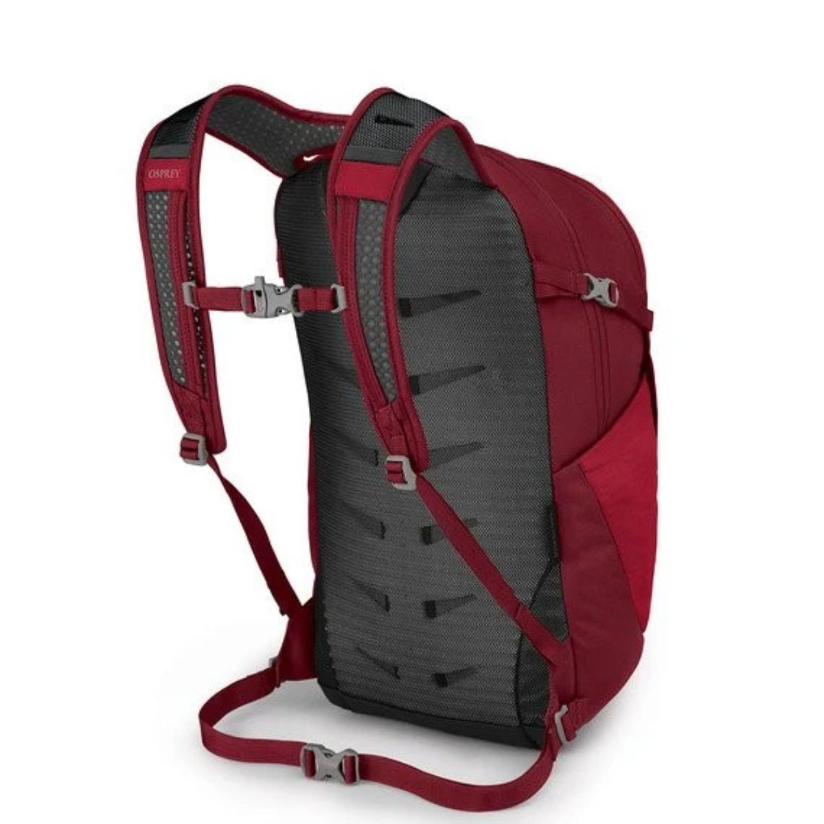 Osprey Daylite Plus Everyday Backpack