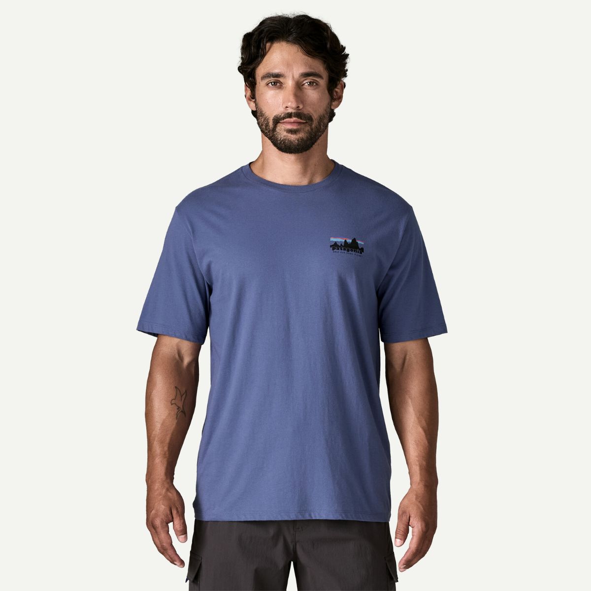 Patagonia Men's '73 Skyline Organic T-Shirt