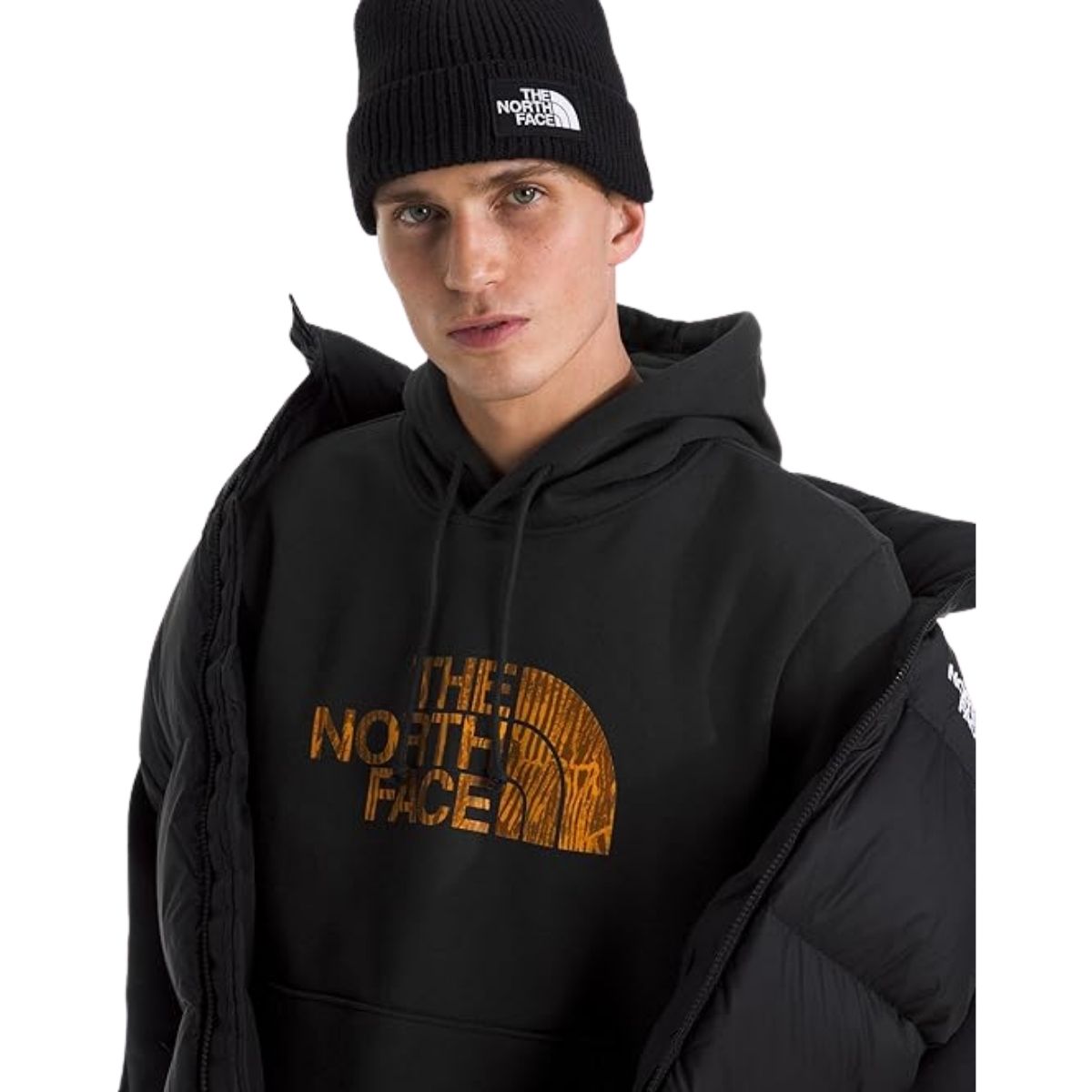 The North Face Men's Evolution Regenerative Ink Half Dome Hoodie