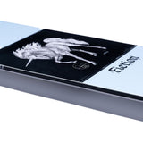 2027 GNU Fiction Women's Snowboard