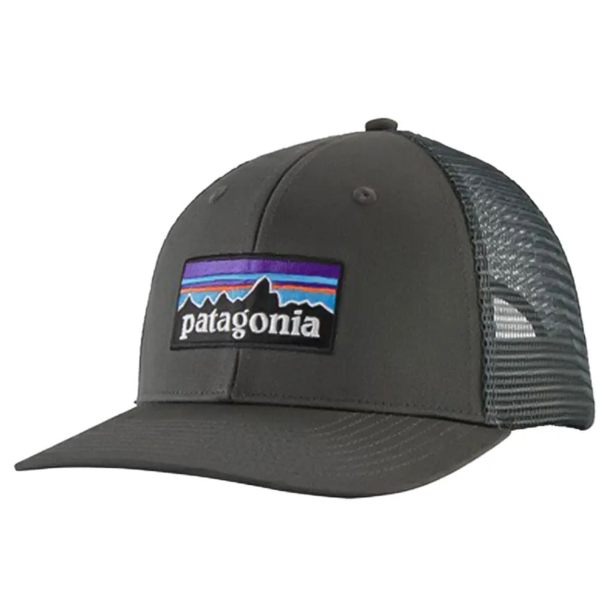 Patagonia P-6 Logo Trucker Hat