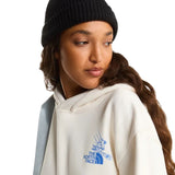 The North Face Mountain Celebration Hoodie