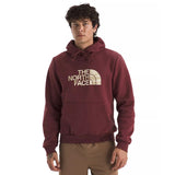 The North Face Men's Edge of Light Half Dome Hoodie