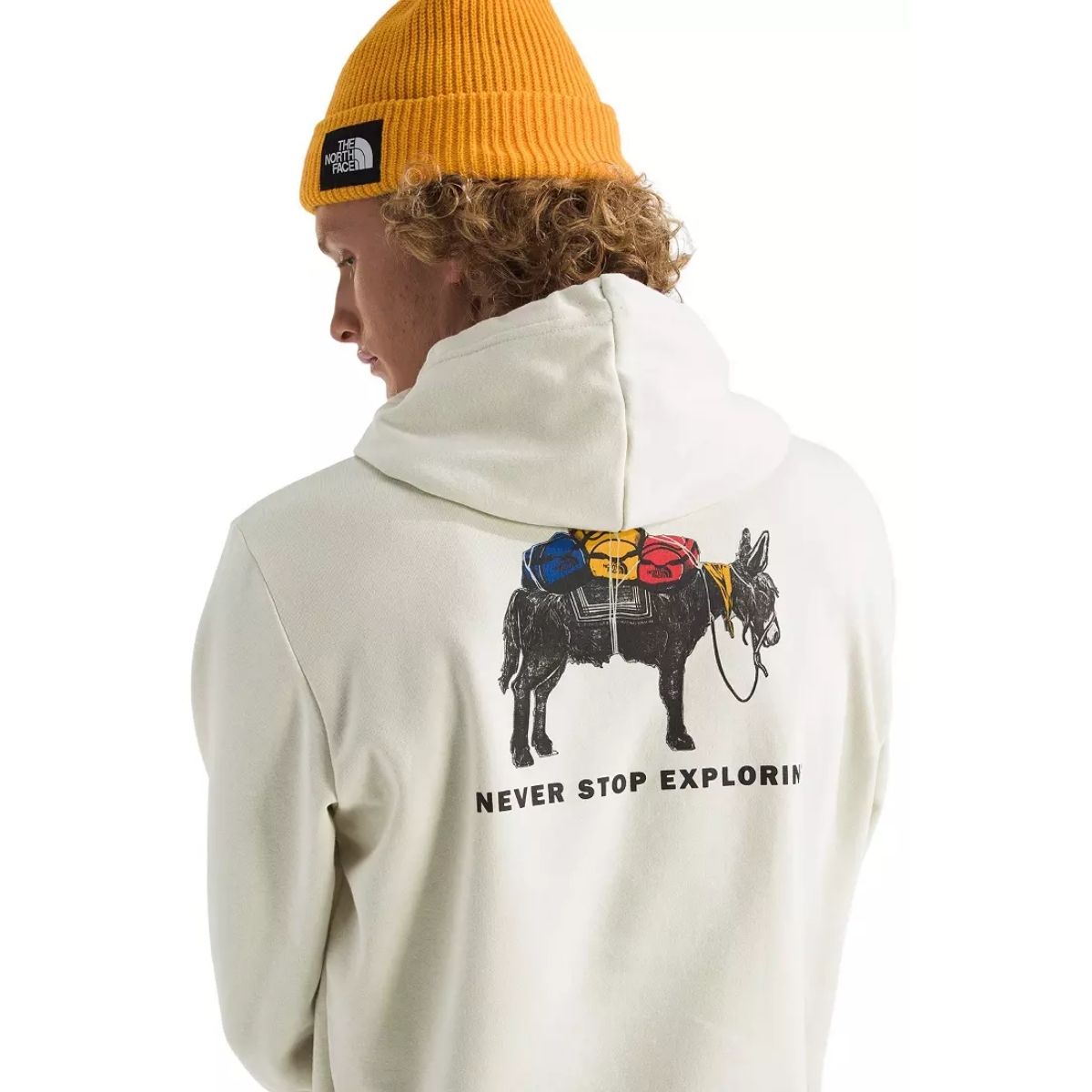 The North Face Men's Evolution Pack Hoodie