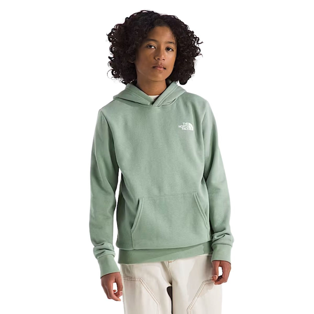 The North Face Boys & Girls Evolution Box NSE Hoodie - Graphic