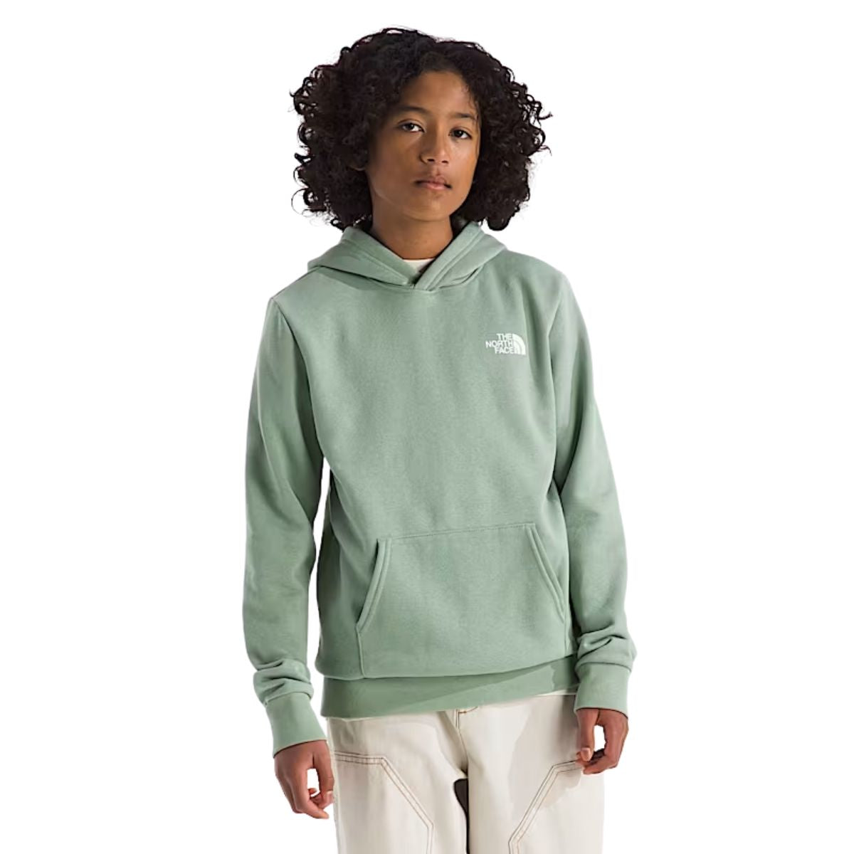 The North Face Boys & Girls Evolution Box NSE Hoodie - Graphic