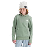 The North Face Boys & Girls Evolution Box NSE Hoodie - Graphic