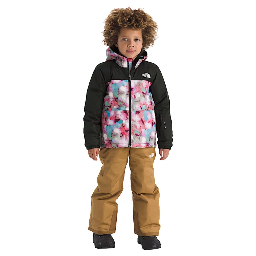 The North Face Kids Freedom Insulated Jacket - Print