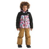 The North Face Kids Freedom Insulated Jacket - Print