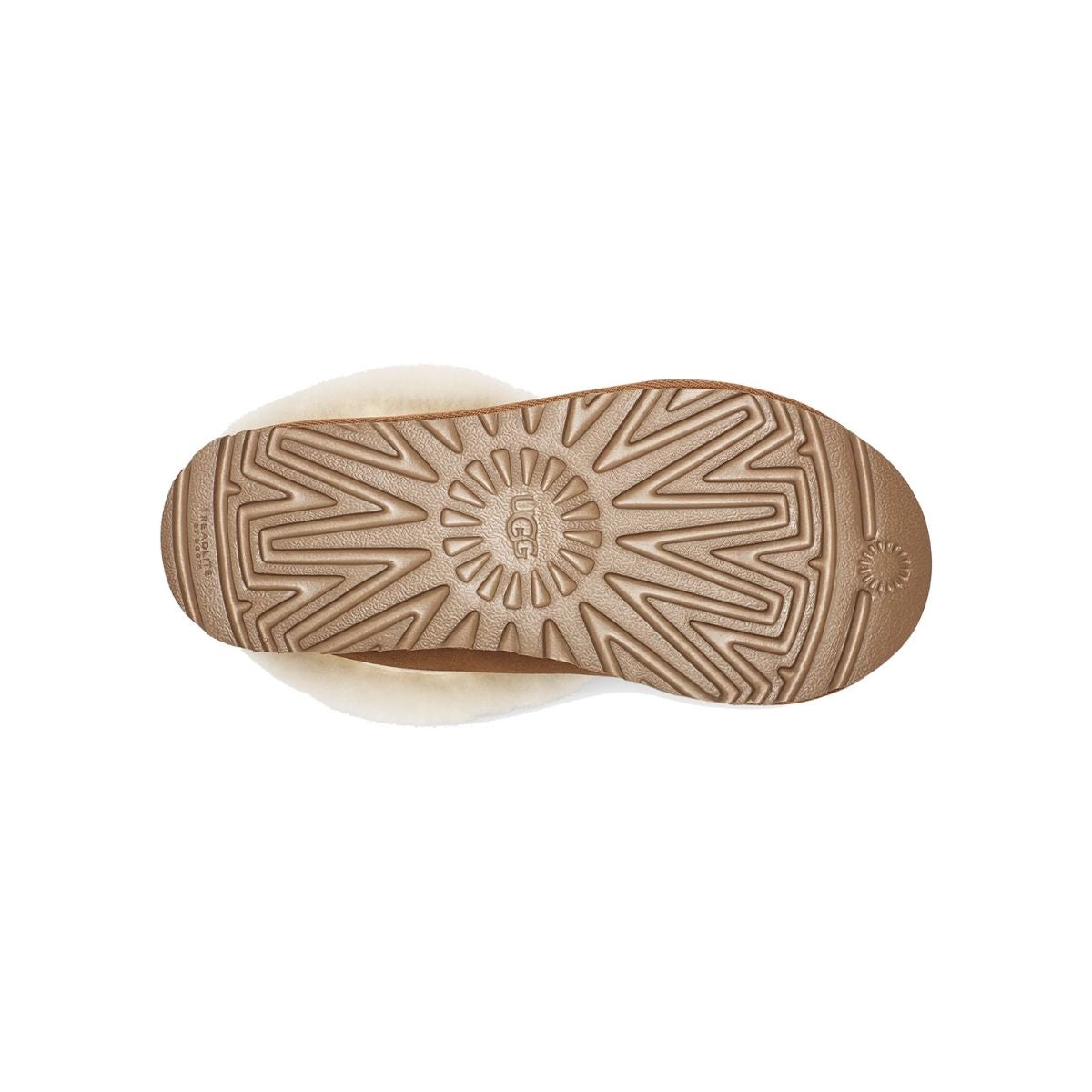UGG Women's Tazzette Slipper