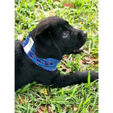 Buff Dog Reflective Neckwear
